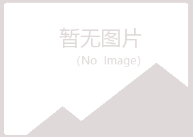 东源县夏日能源有限公司